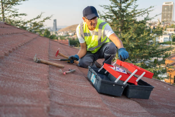 Best Fiber Cement Siding Installation  in Salton City, CA